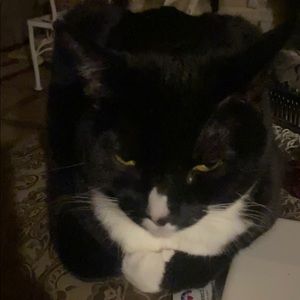 Meet your Posher, Gina